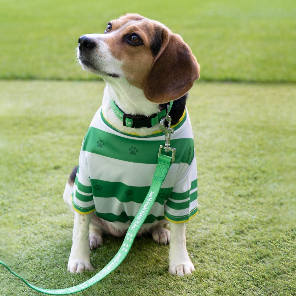 Celtic YNWA Dog Lead – Official Celtic Store, image size:1000x1000
