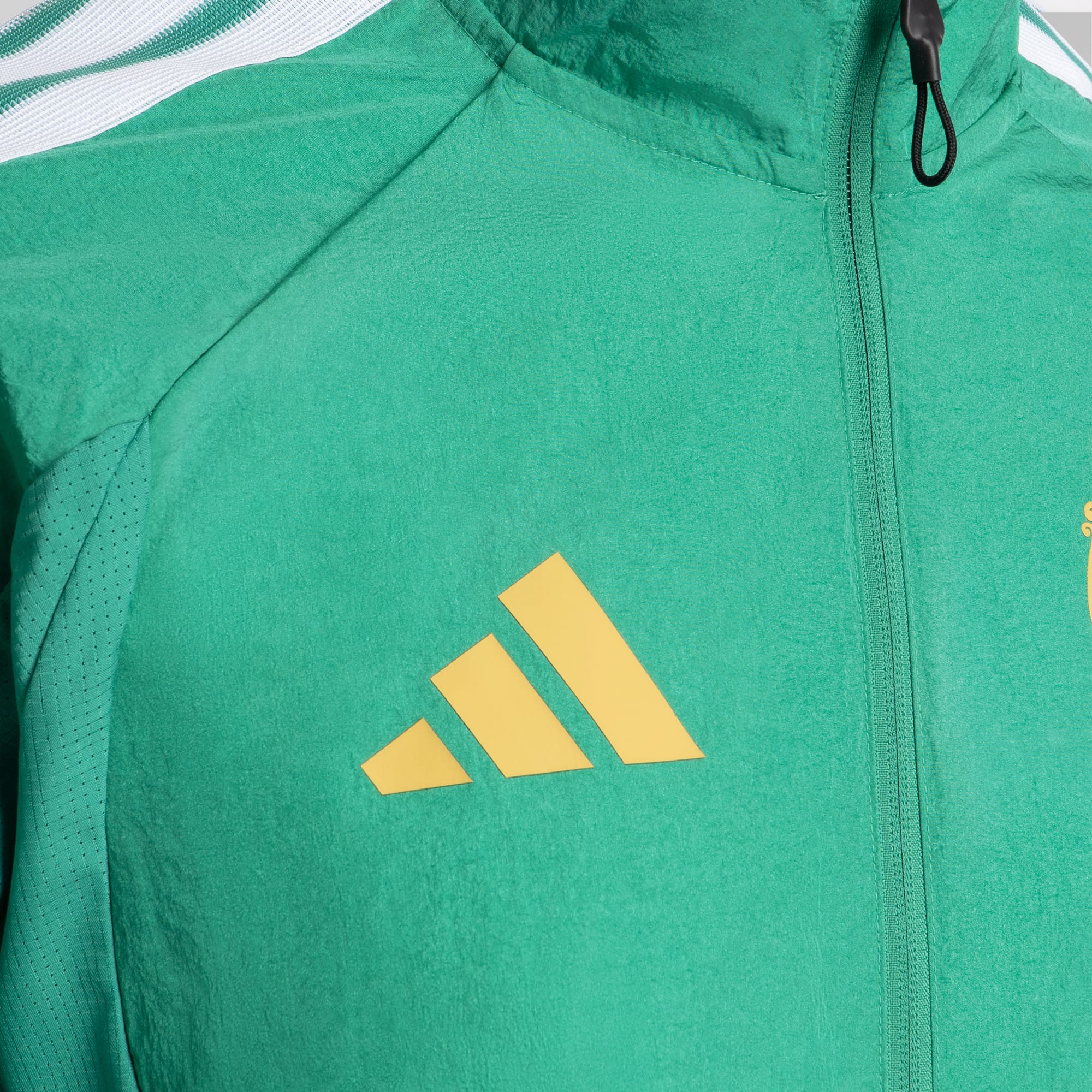 adidas Celtic 2026/27 Anthem Jacket – Official Celtic Store