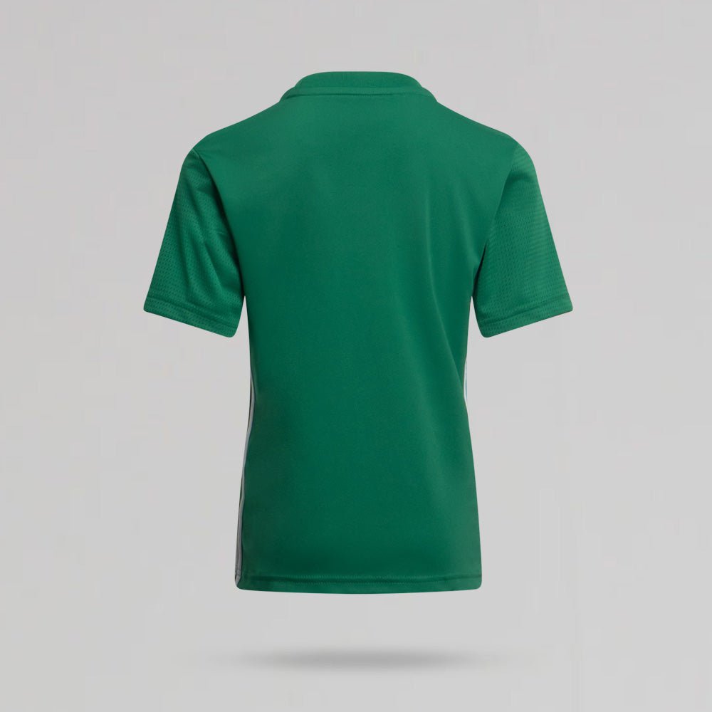 adidas Celtic Junior 2024/25 Champions Green Jersey