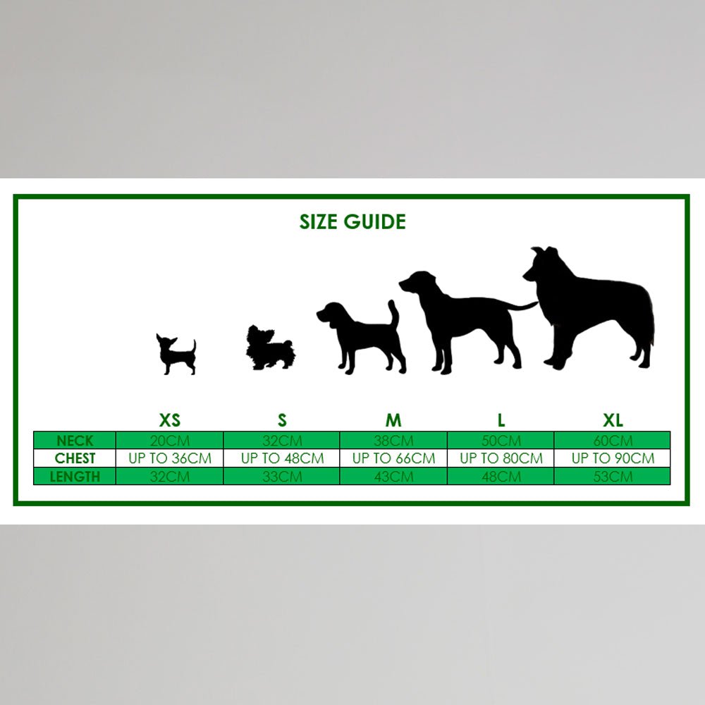 Celtic 23/24 Dog Home Jersey