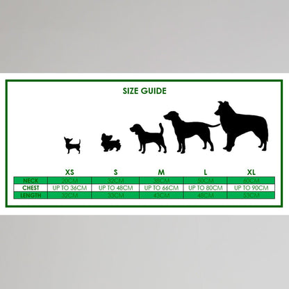 Celtic 23/24 Dog Home Jersey