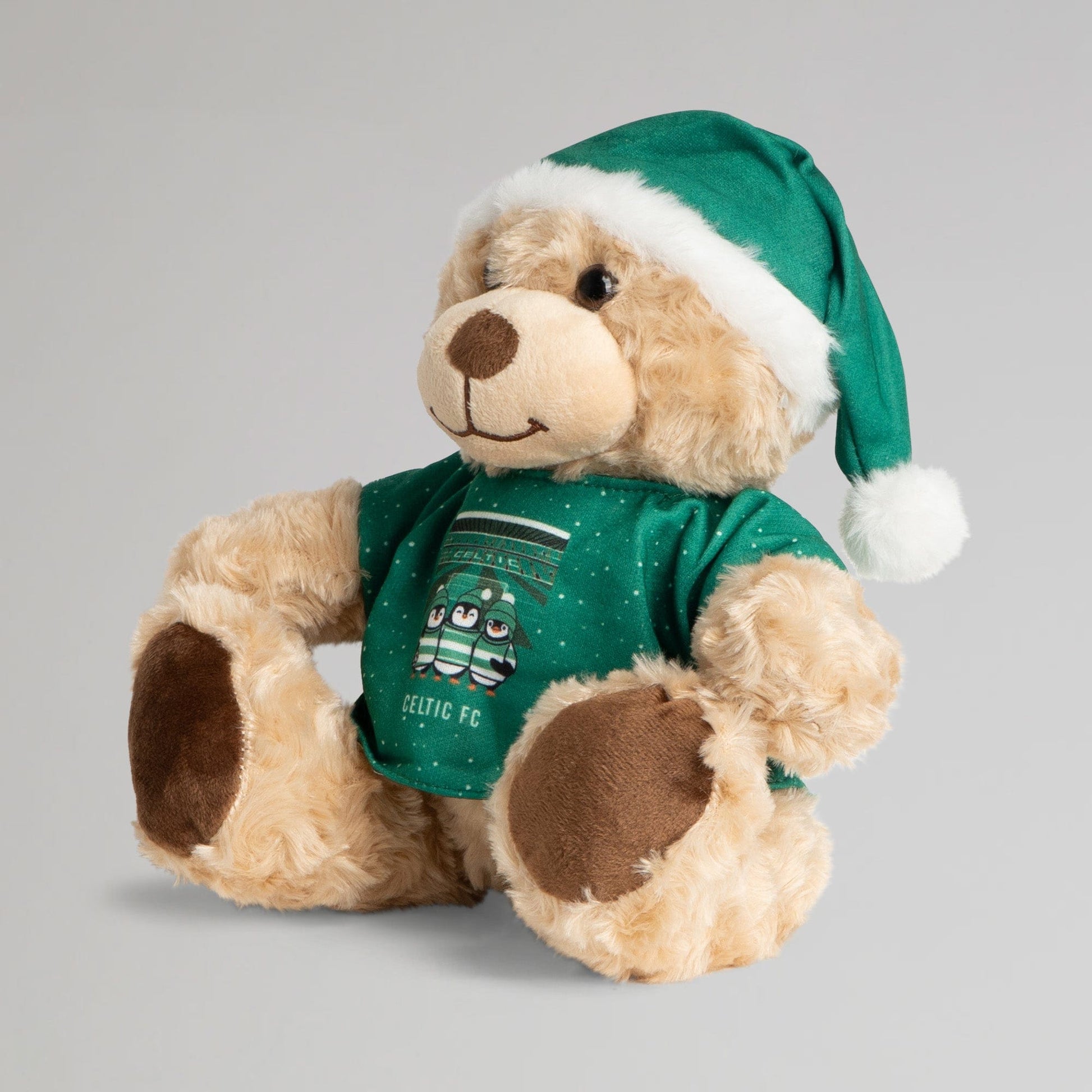 Celtic Christmas Jumper Bear