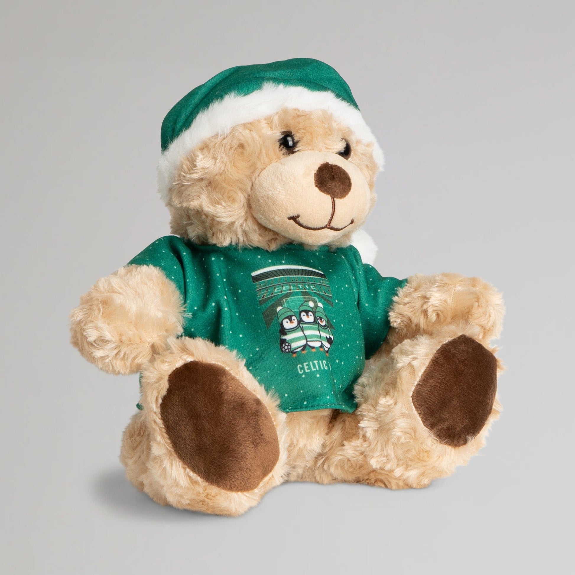 Celtic Christmas Jumper Bear