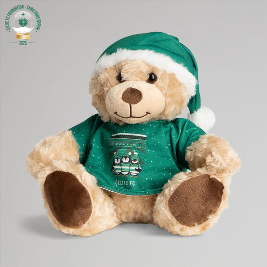 Celtic Christmas Jumper Bear