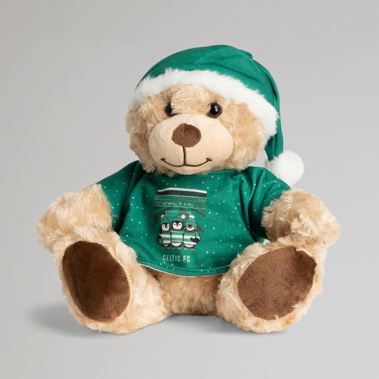 Celtic Christmas Jumper Bear