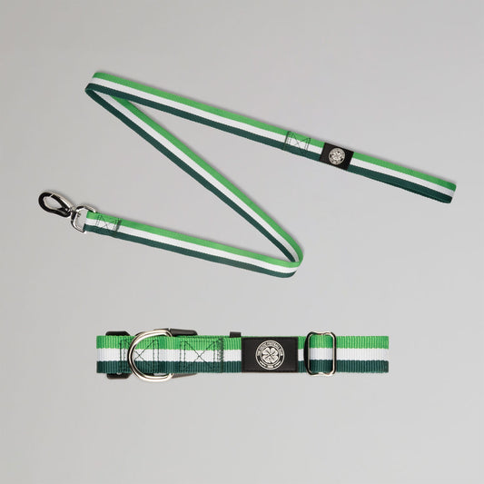 Celtic Green Stripe Dog Collar and Lead Set