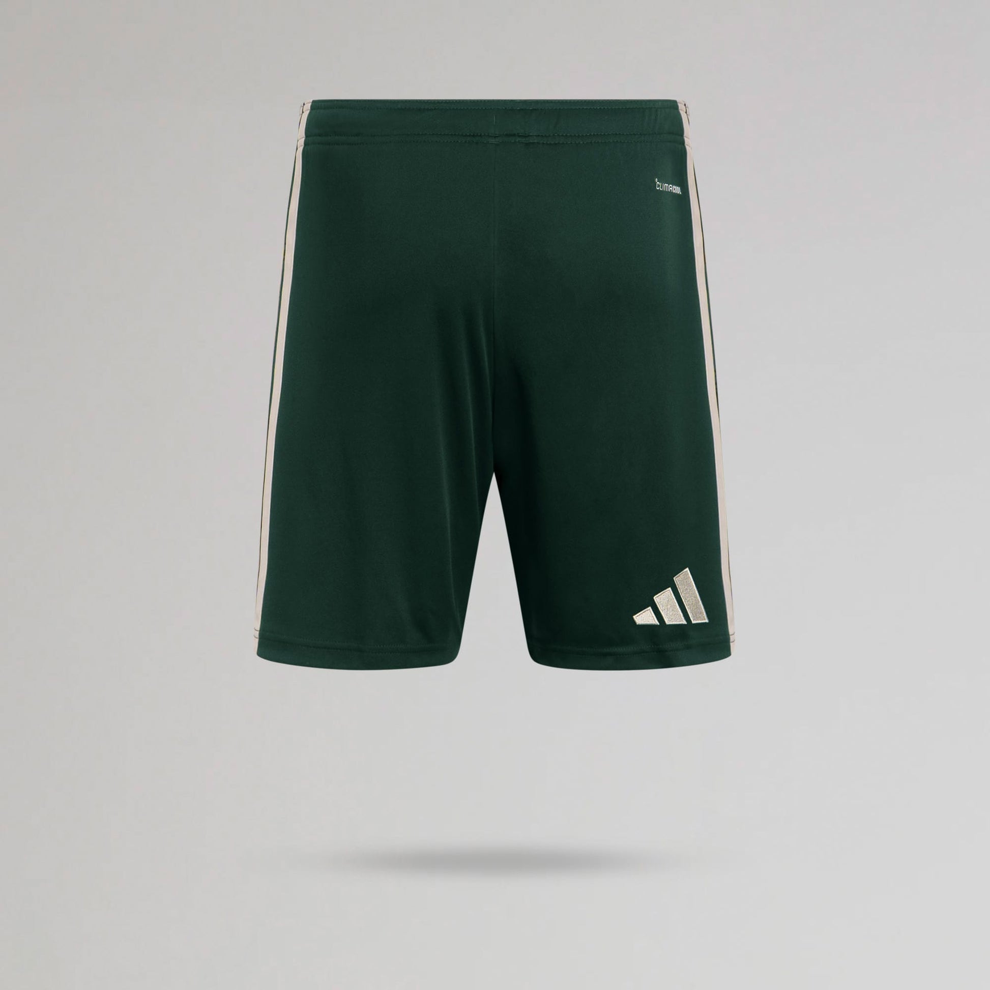 Celtic Junior 2026/27 Third Shorts