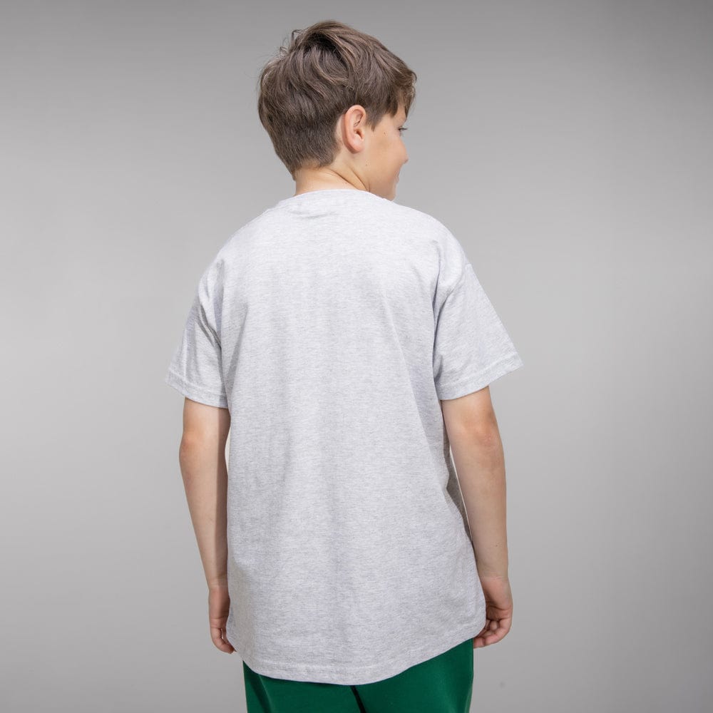 Celtic Junior Grey Flag T-Shirt