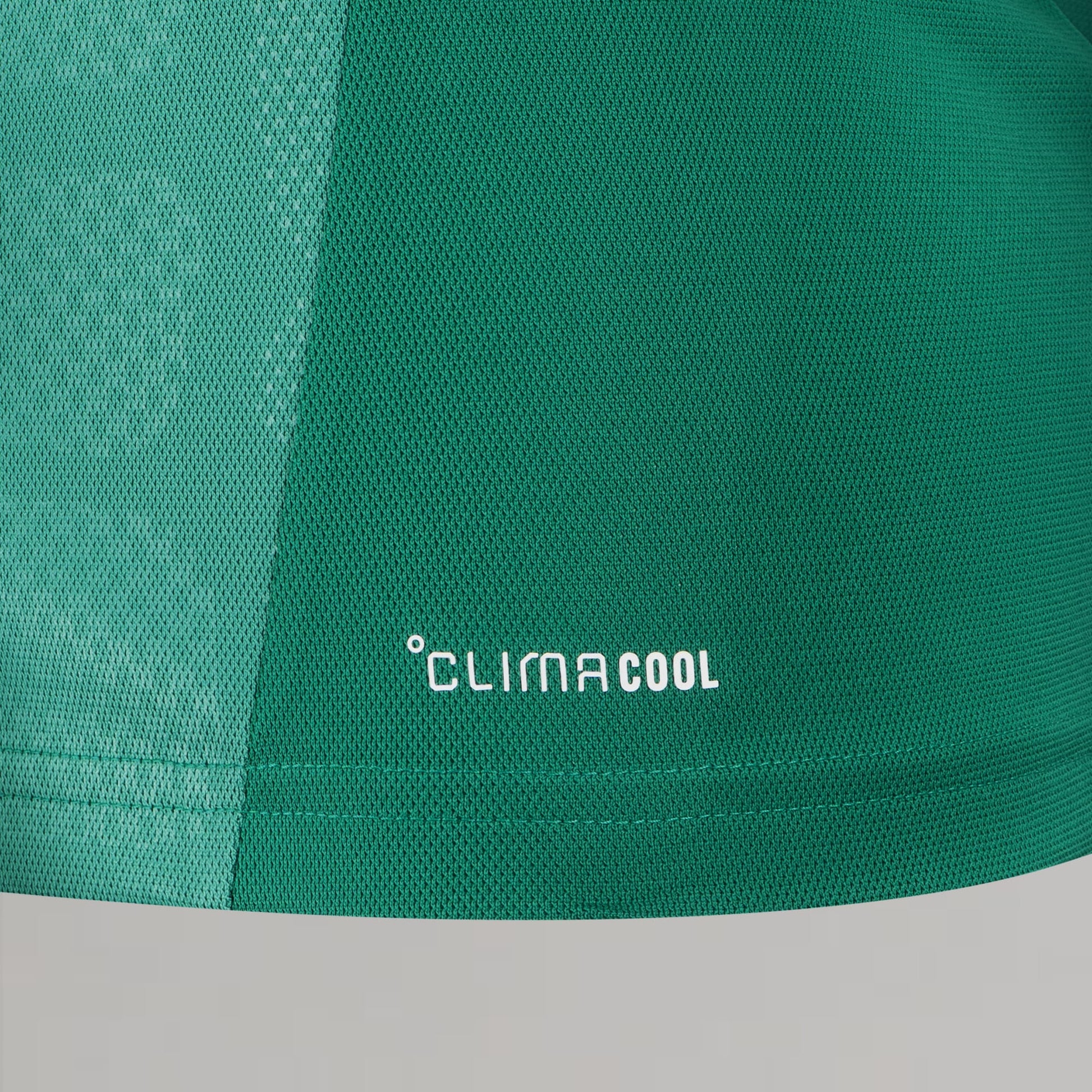 Celtic Men's 2026/27 Goalkeeper Long Sleeve Green Shirt