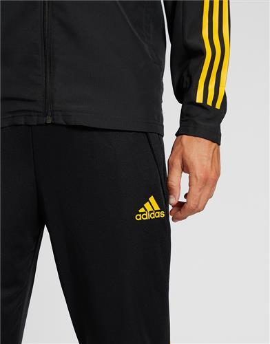 Celtic Training Presentation Pant