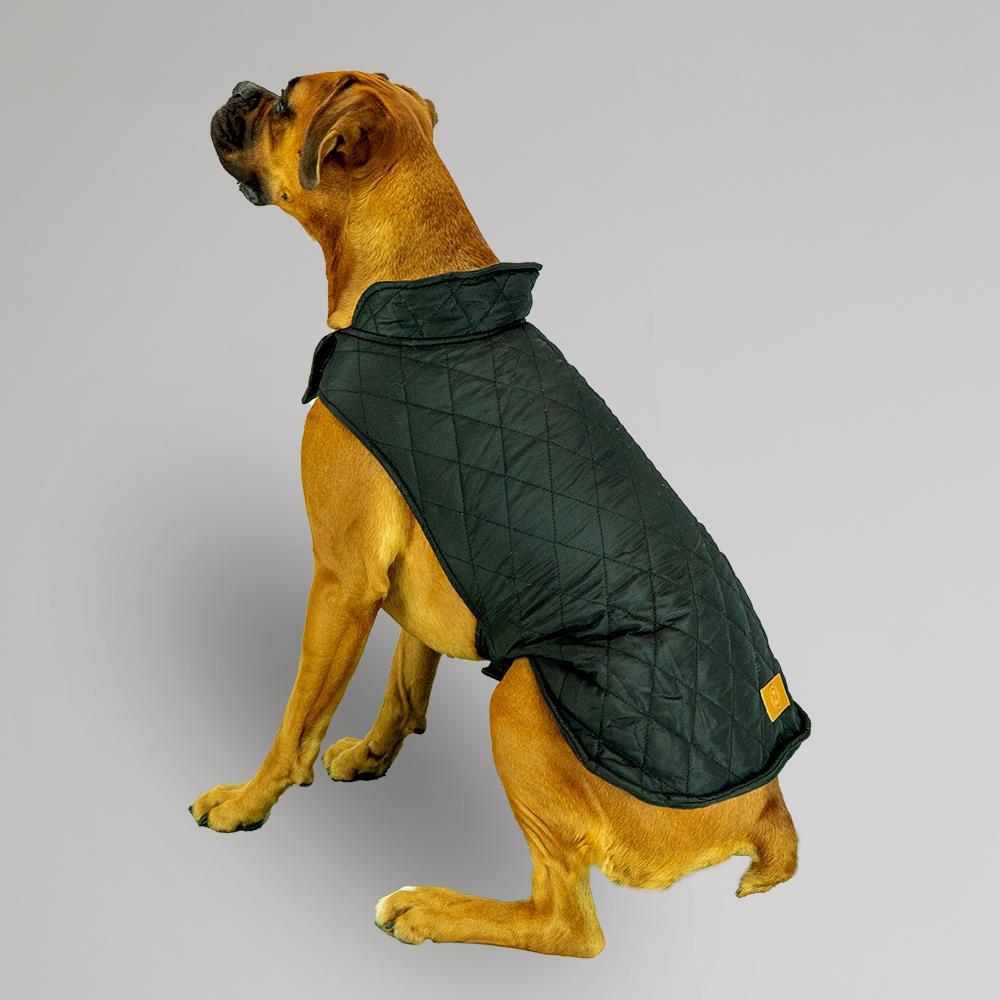 Padded best sale dog jacket