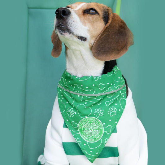 Celtic Detachable Dog Bandana